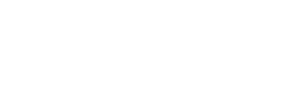 apex logo white